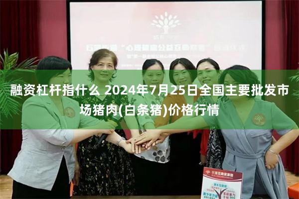 融资杠杆指什么 2024年7月25日全国主要批发市场猪肉(白条猪)价格行情