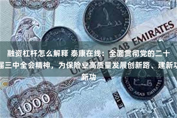 融资杠杆怎么解释 泰康在线：全面贯彻党的二十届三中全会精神，为保险业高质量发展创新路、建新功