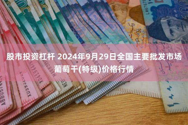 股市投资杠杆 2024年9月29日全国主要批发市场葡萄干(特级)价格行情