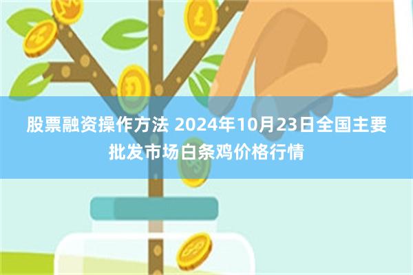 股票融资操作方法 2024年10月23日全国主要批发市场白条鸡价格行情