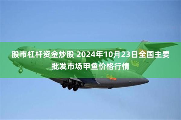 股市杠杆资金炒股 2024年10月23日全国主要批发市场甲鱼价格行情