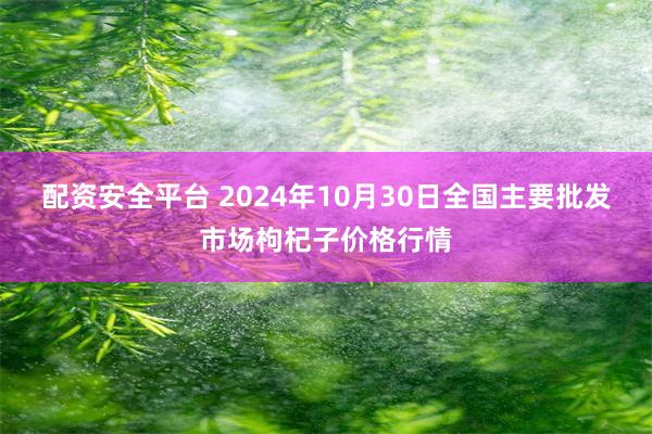 配资安全平台 2024年10月30日全国主要批发市场枸杞子价格行情