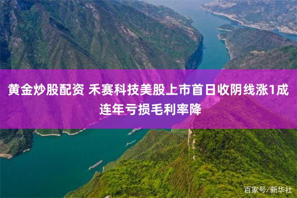 黄金炒股配资 禾赛科技美股上市首日收阴线涨1成 连年亏损毛利率降