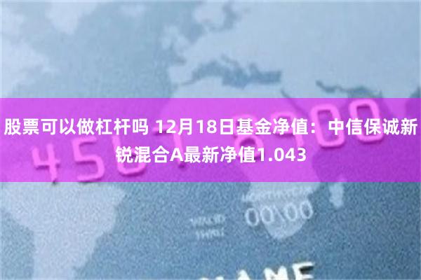 股票可以做杠杆吗 12月18日基金净值：中信保诚新锐混合A最新净值1.043