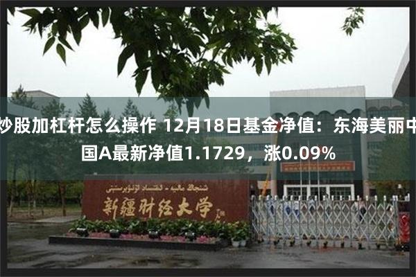 炒股加杠杆怎么操作 12月18日基金净值：东海美丽中国A最新净值1.1729，涨0.09%