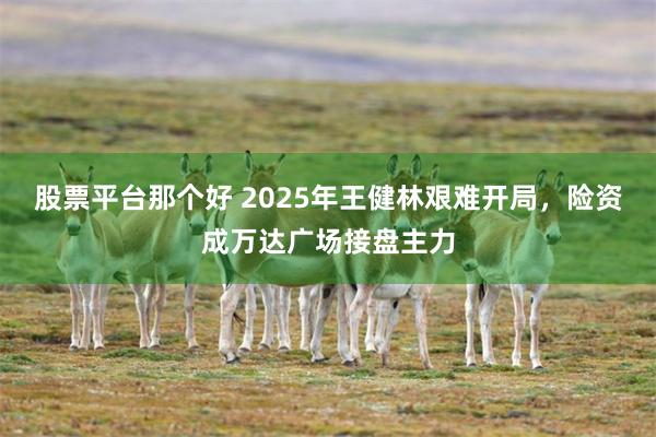 股票平台那个好 2025年王健林艰难开局，险资成万达广场接盘主力