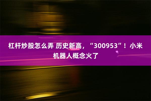 杠杆炒股怎么弄 历史新高，“300953”！小米机器人概念火了